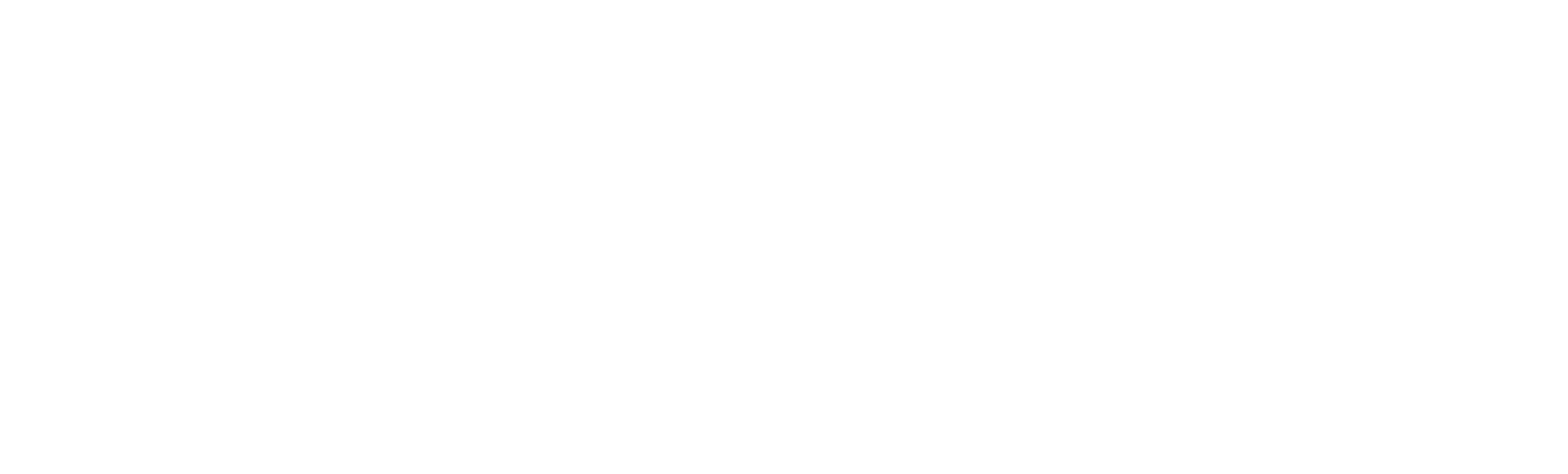 VoixyAI